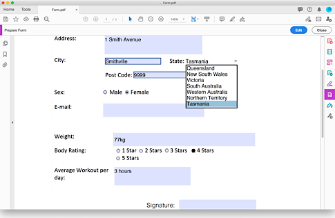 A form created in Adobe Acrobat